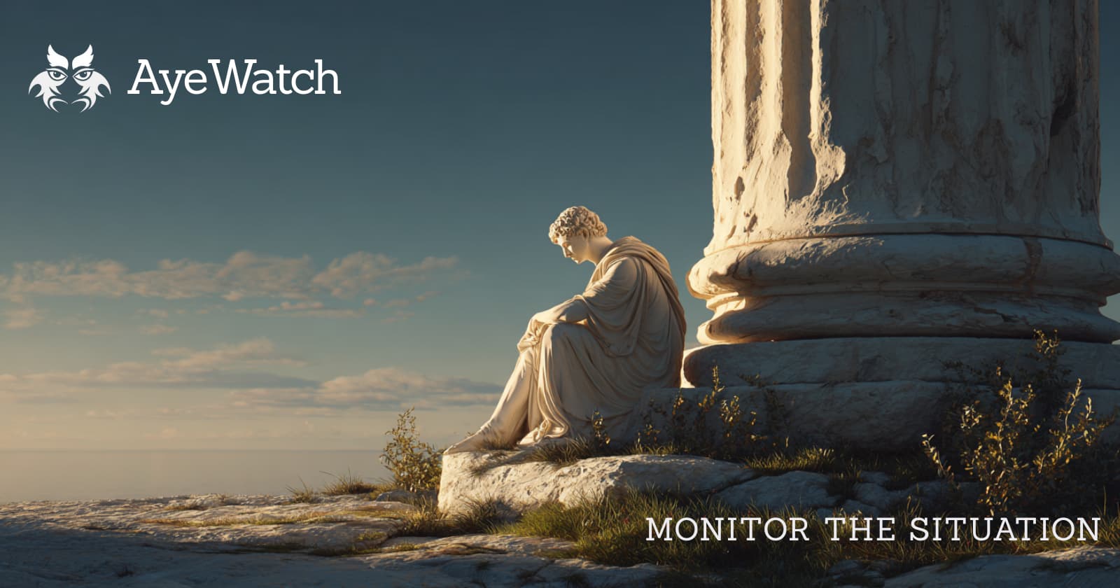 Ayewatch banner