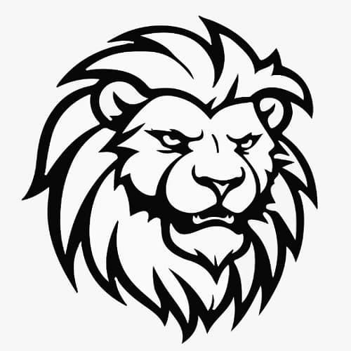 TradingMMT logo