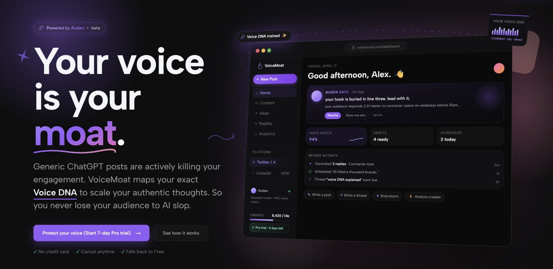VoiceMoat banner